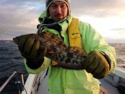 MATSUSHIMA SEANET 釣果