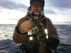 MATSUSHIMA SEANET 釣果