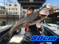 オーシャンマスター 釣果