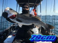 オーシャンマスター 釣果