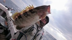 海龍丸 釣果