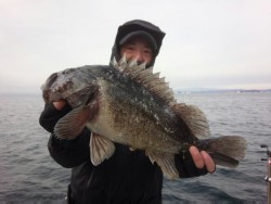 MATSUSHIMA SEANET 釣果