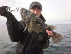 MATSUSHIMA SEANET 釣果