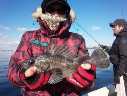 MATSUSHIMA SEANET 釣果