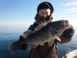 MATSUSHIMA SEANET 釣果