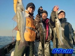 オーシャンマスター 釣果