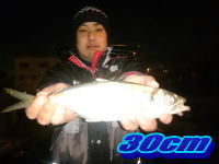 オーシャンマスター 釣果