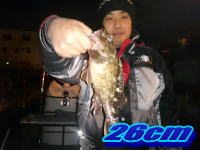 オーシャンマスター 釣果