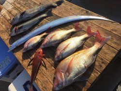 ゲームフィッシング バレントン 釣果