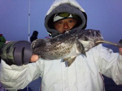 MATSUSHIMA SEANET 釣果