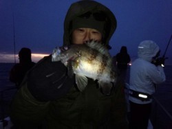 MATSUSHIMA SEANET 釣果