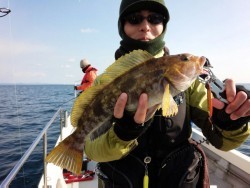 MATSUSHIMA SEANET 釣果