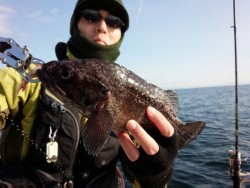 MATSUSHIMA SEANET 釣果