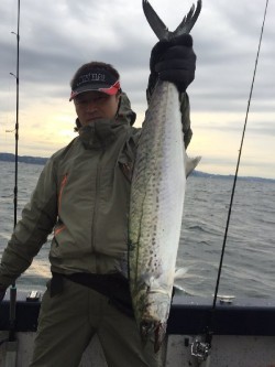 ゲームフィッシング バレントン 釣果