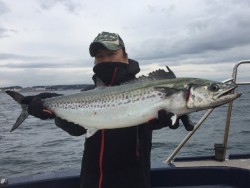 ゲームフィッシング バレントン 釣果