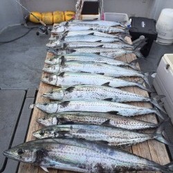 ゲームフィッシング バレントン 釣果