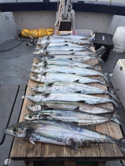 ゲームフィッシング バレントン 釣果