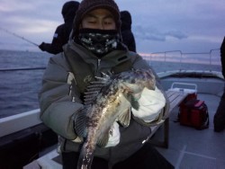 MATSUSHIMA SEANET 釣果