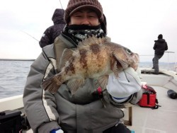 MATSUSHIMA SEANET 釣果