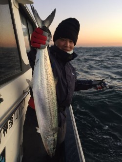 ゲームフィッシング バレントン 釣果