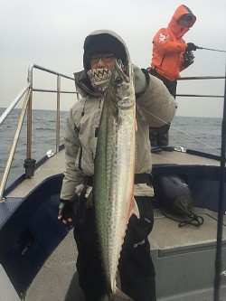 ゲームフィッシング バレントン 釣果