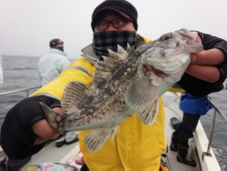 MATSUSHIMA SEANET 釣果