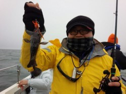 MATSUSHIMA SEANET 釣果