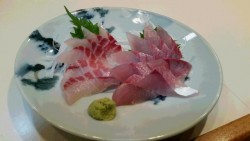 つれ鷹丸 釣果