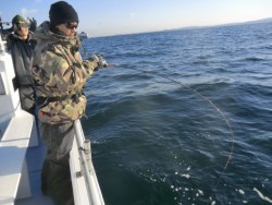 ＢＩＧ－ＯＮＥ 釣果