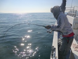 ＢＩＧ－ＯＮＥ 釣果