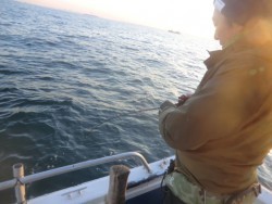 ＢＩＧ－ＯＮＥ 釣果