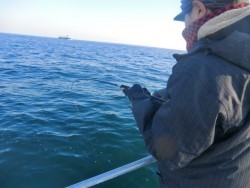 ＢＩＧ－ＯＮＥ 釣果