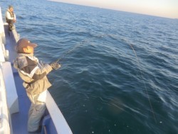 ＢＩＧ－ＯＮＥ 釣果