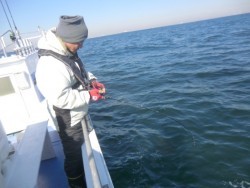 ＢＩＧ－ＯＮＥ 釣果