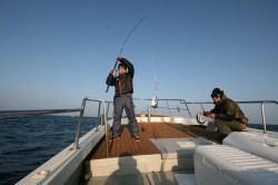 オーシャンズ 釣果