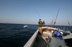 オーシャンズ 釣果