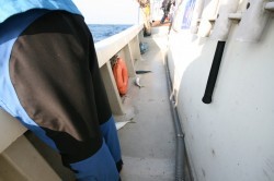 オーシャンズ 釣果