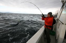 オーシャンズ 釣果