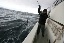 オーシャンズ 釣果