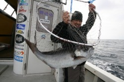 オーシャンズ 釣果