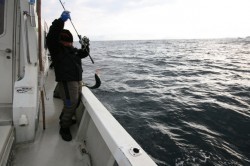 オーシャンズ 釣果