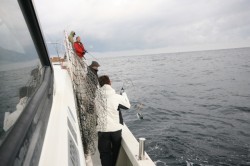 オーシャンズ 釣果