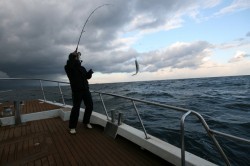 オーシャンズ 釣果