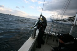 オーシャンズ 釣果