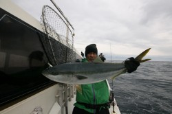 オーシャンズ 釣果