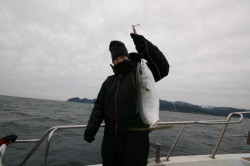 オーシャンズ 釣果