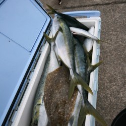 オーシャンズ 釣果