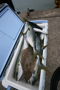 オーシャンズ 釣果