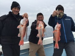 第二隆星丸 釣果