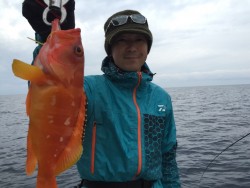 オーシャンキッズ 釣果